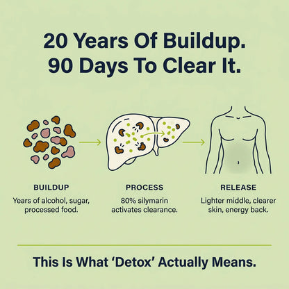 Milk Thistle Liver Detox – 80% Silymarin Formula