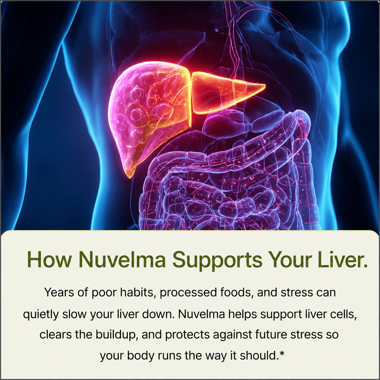 Nuvelma - Milk Thistle Support