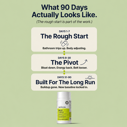 Milk Thistle Liver Detox – 80% Silymarin Formula