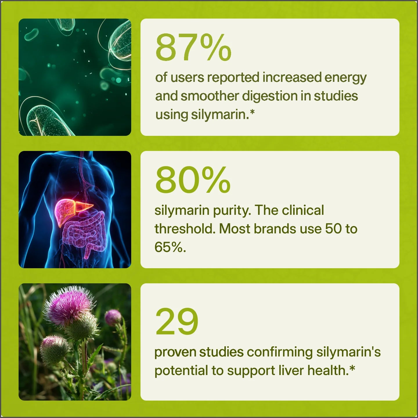 Nuvelma - Milk Thistle Support